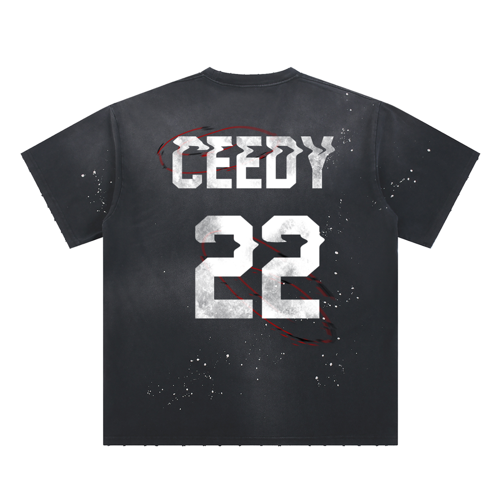 Ceedy Hand-Frayed Sunfade Paint Splatter T-Shirt