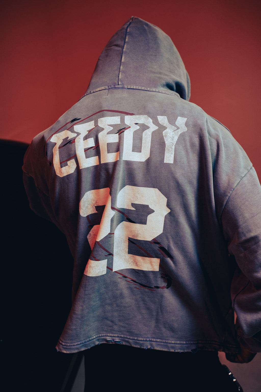 Ceedy Vintage Washed Frayed-Hem Hoodie