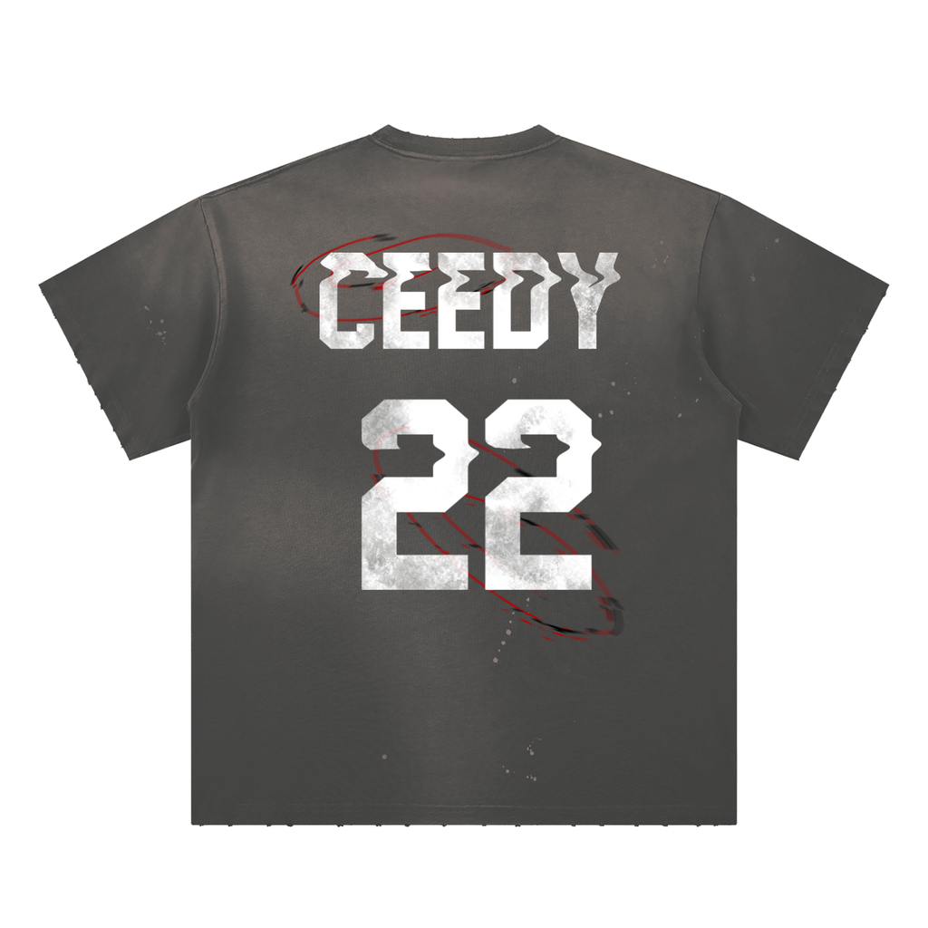 Ceedy Hand-Frayed Sunfade Paint Splatter T-Shirt